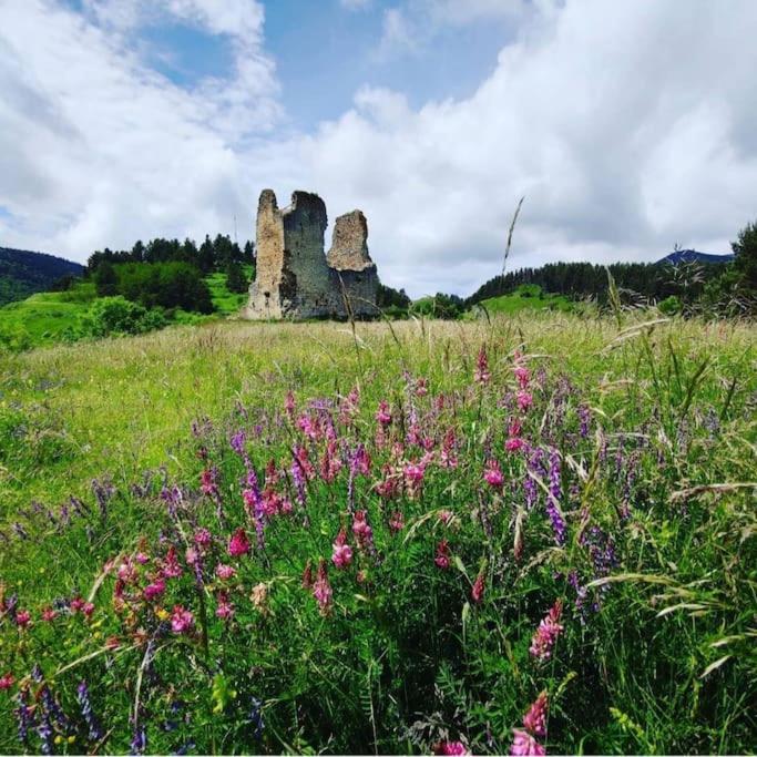 Gite L'Enclos O Rendez-Vous Roquefeuil-Pays De Sault- Avec Jardin Bagian luar foto