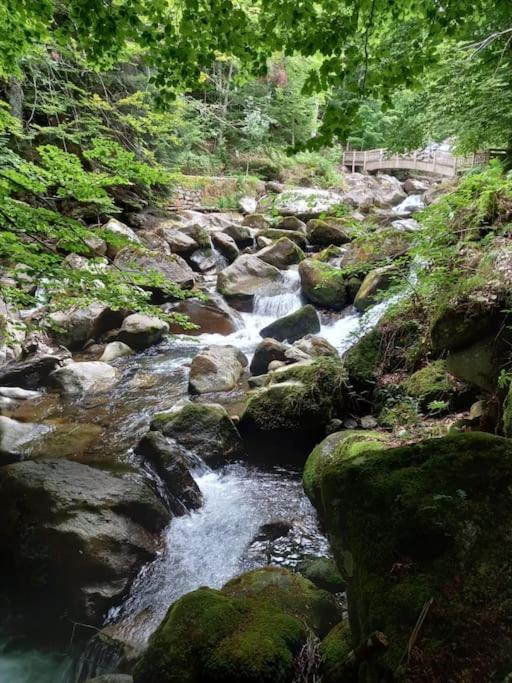 Gite L'Enclos O Rendez-Vous Roquefeuil-Pays De Sault- Avec Jardin Bagian luar foto