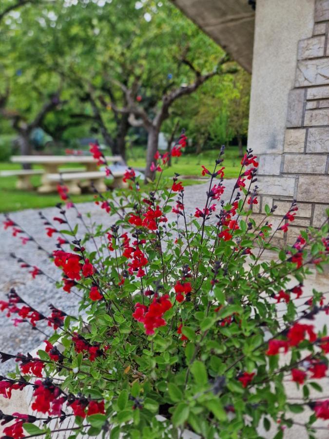 Gite L'Enclos O Rendez-Vous Roquefeuil-Pays De Sault- Avec Jardin Bagian luar foto
