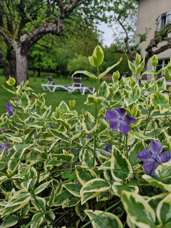 Gite L'Enclos O Rendez-Vous Roquefeuil-Pays De Sault- Avec Jardin Bagian luar foto